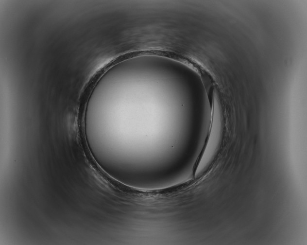 X0000086991452200704161457