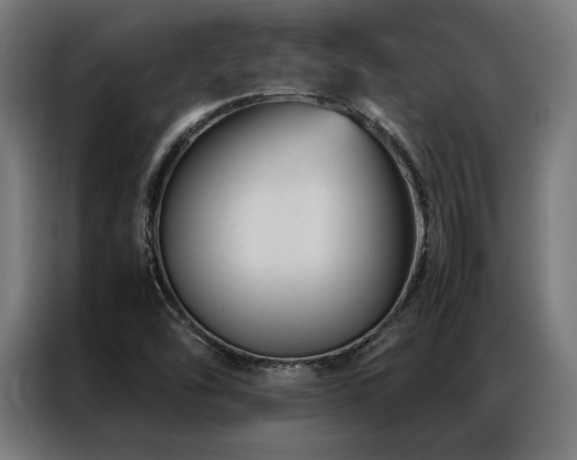 X0000086991454200704161457