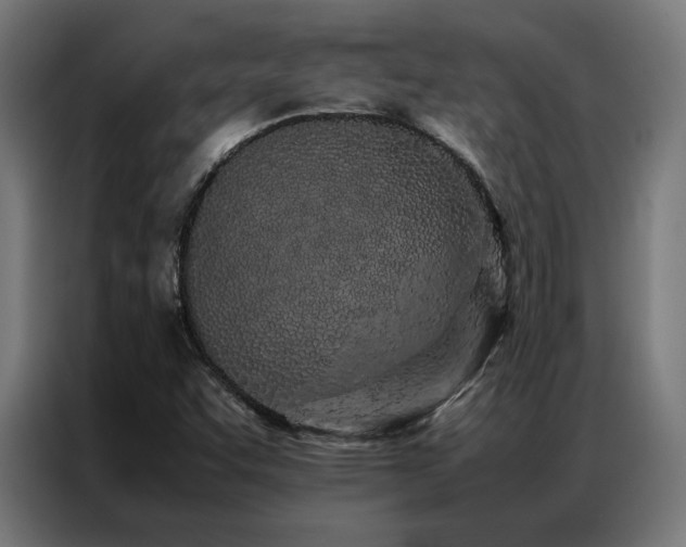 X0000086991455200704161457