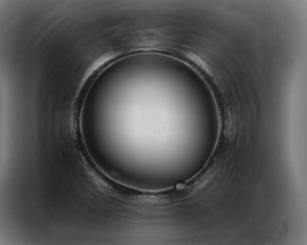 X0000086991458200704161457