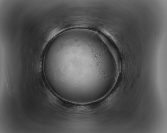 X0000086991459200704161457