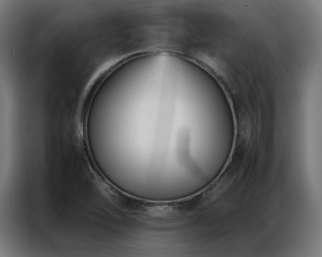 X0000086991462200704161457