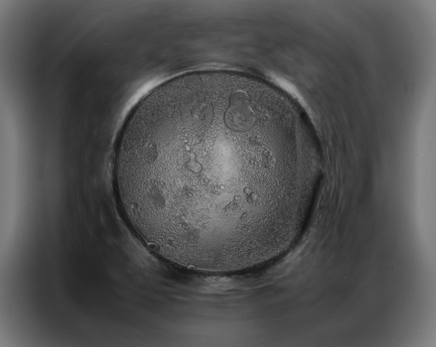 X0000086991463200704161457