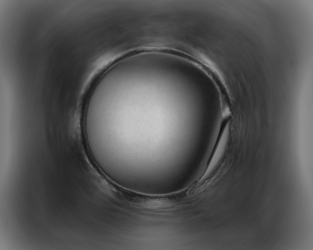 X0000086991464200704161457