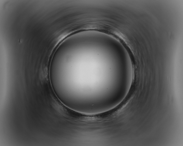 X0000086991465200704161457