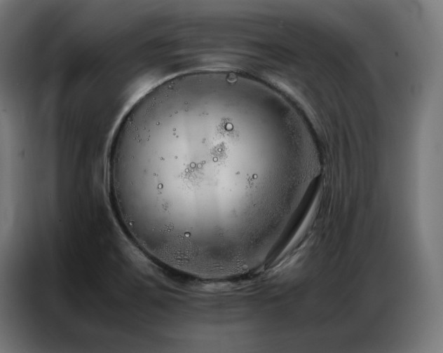 X0000086991467200704161457
