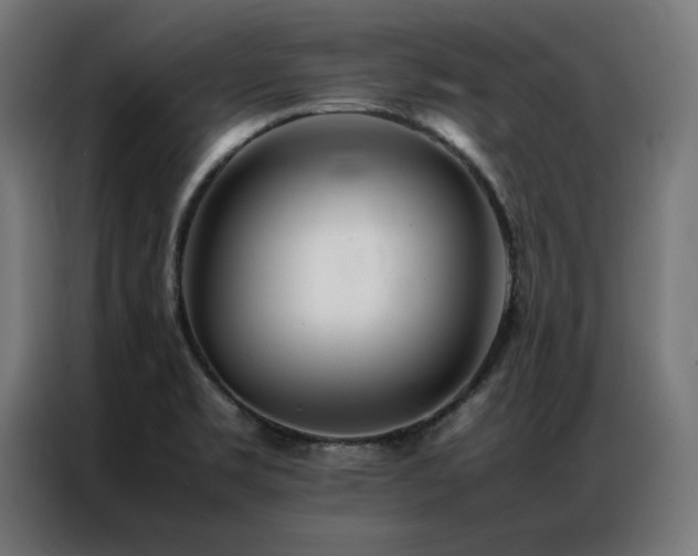 X0000086991469200704161457