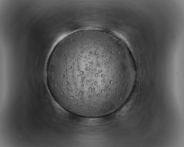 X0000086991471200704161457