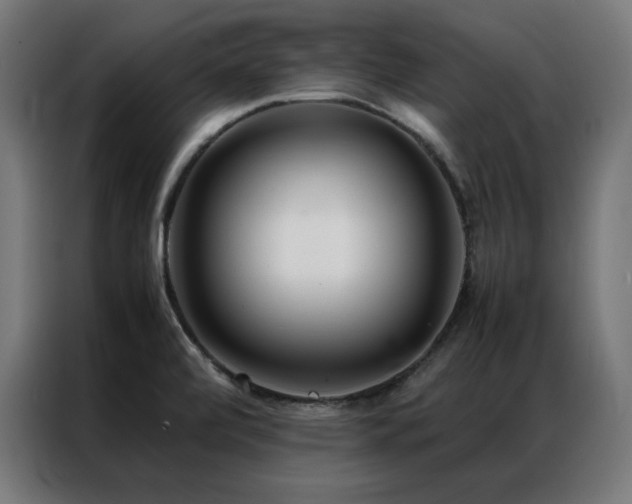 X0000086991472200704161457