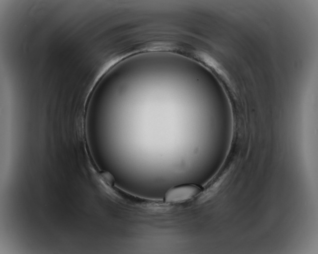 X0000086991473200704161457
