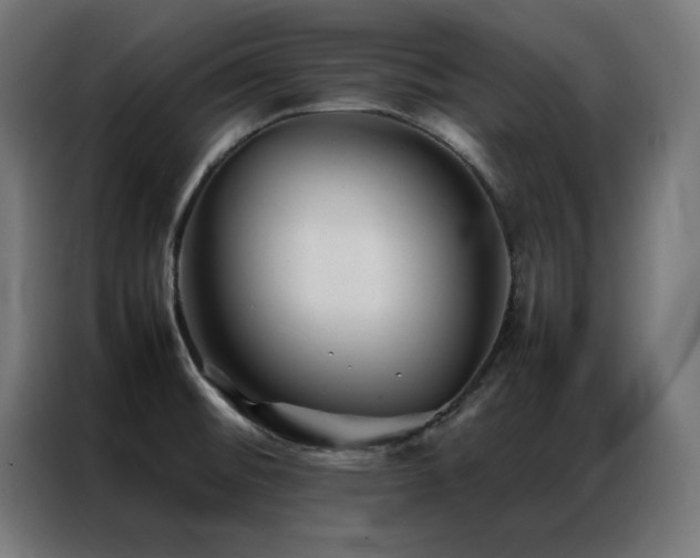 X0000086991476200704161457