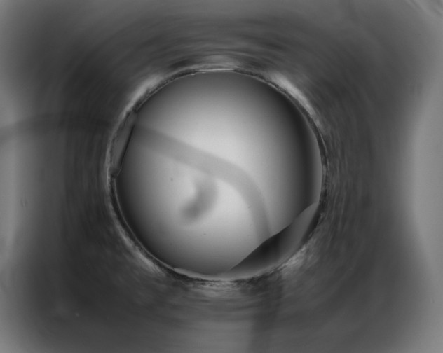 X0000086991477200704161457