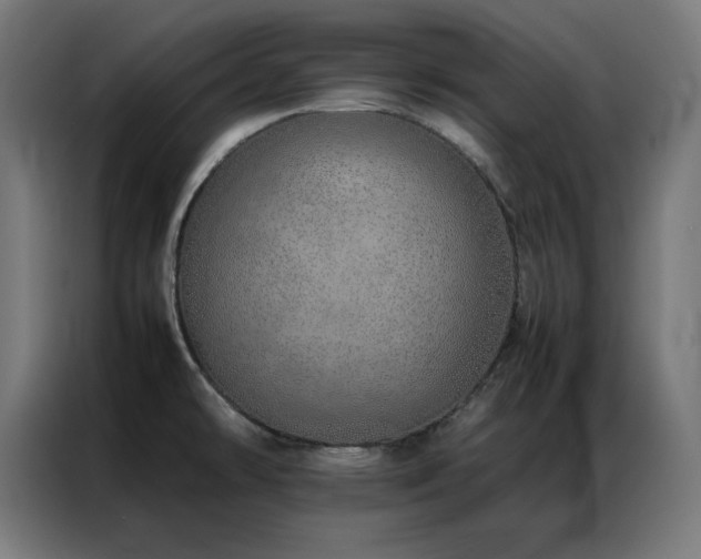 X0000086991478200704161457
