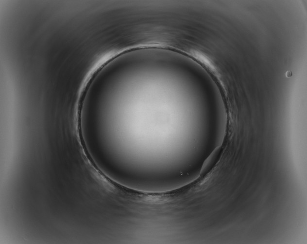 X0000086991480200704161457