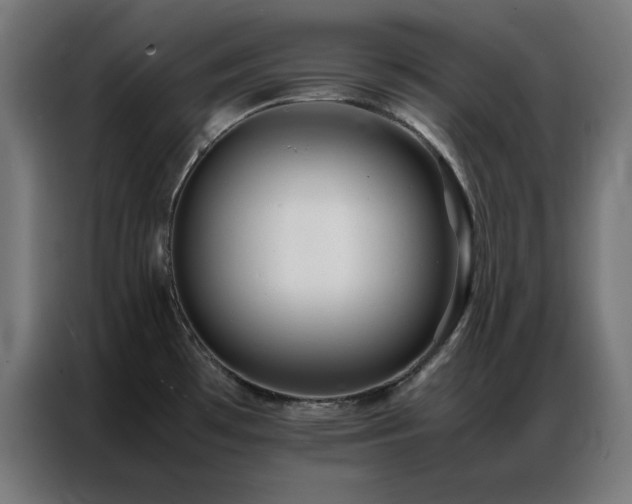 X0000086991481200704161457