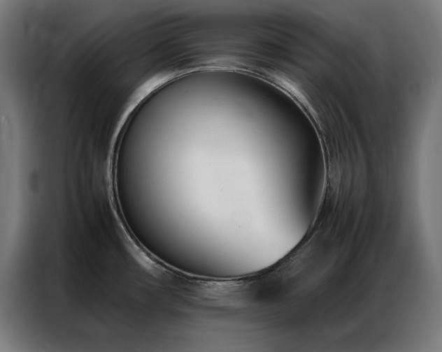 X0000086991482200704161457