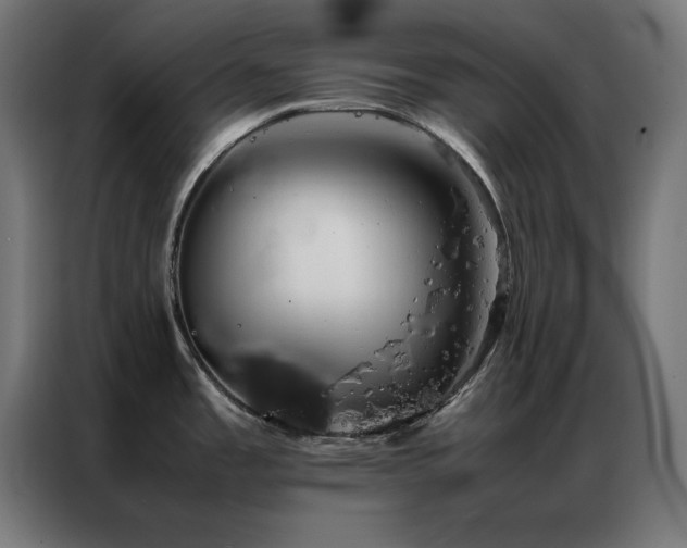 X0000086991485200704161457