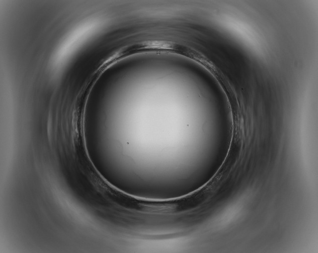 X0000086991487200704161457