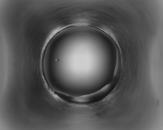 X0000086991488200704161457