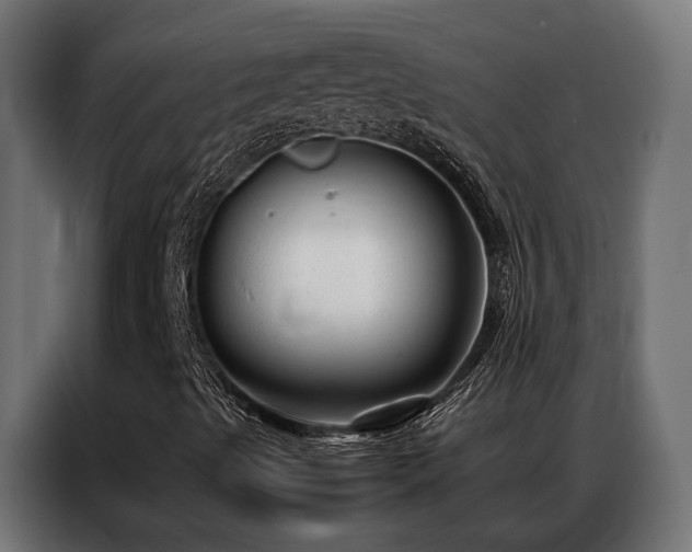 X0000086991489200704161456