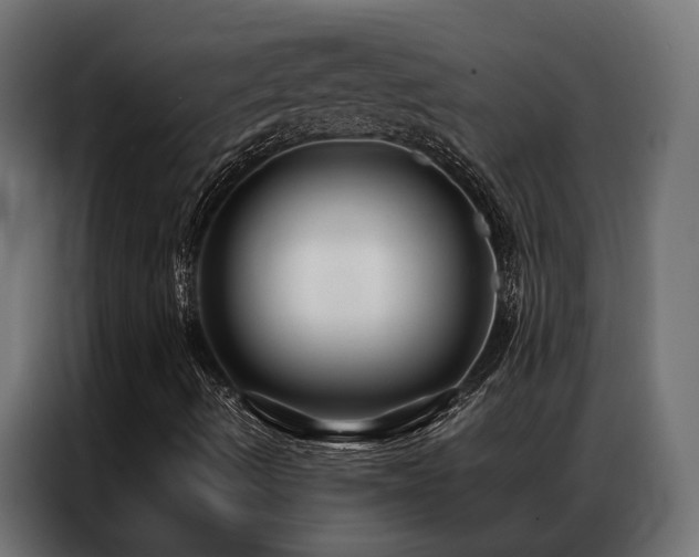 X0000086991490200704161456