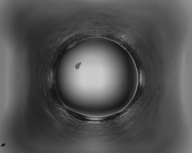 X0000086991492200704161456