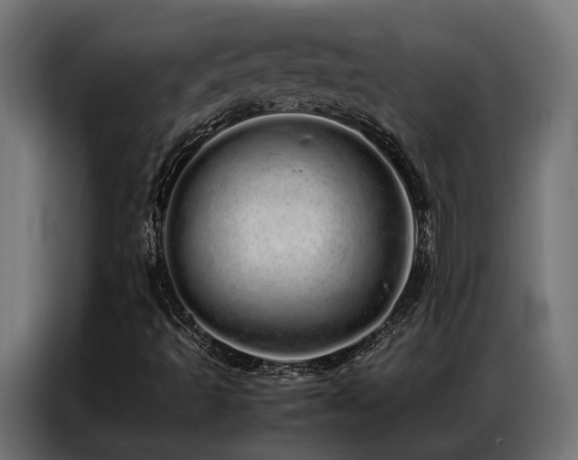 X0000086991493200704161456