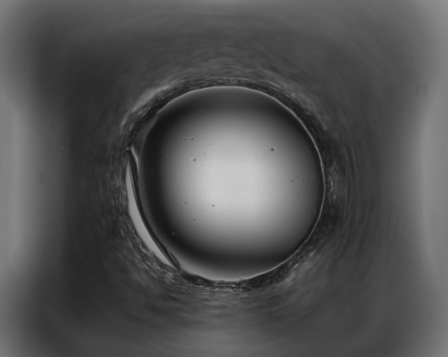 X0000086991494200704161456