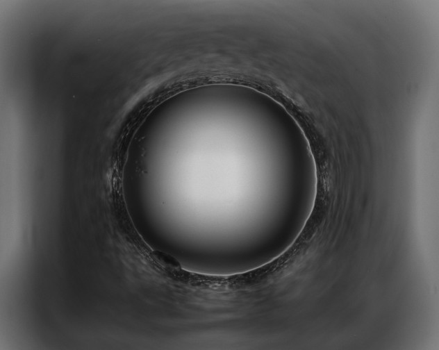 X0000086991495200704161456