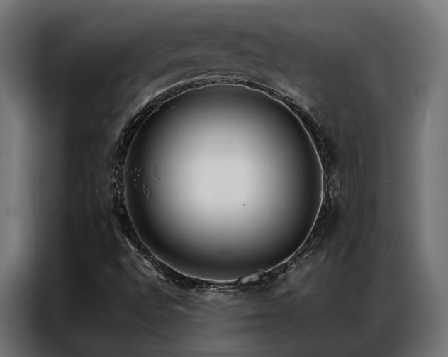 X0000086991496200704161456
