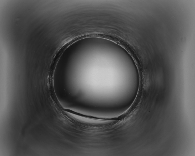 X0000086991497200704161456
