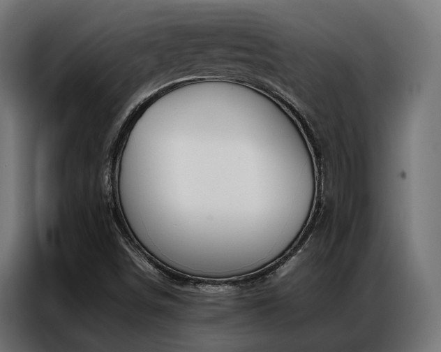 X0000086991498200704161456