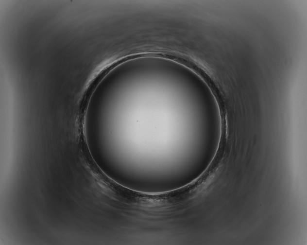 X0000086991501200704161456