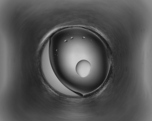 X0000086991502200704161456