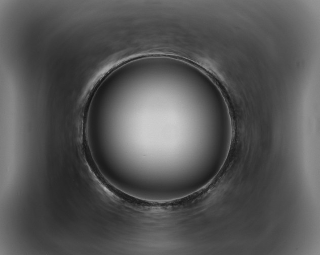 X0000086991504200704161457