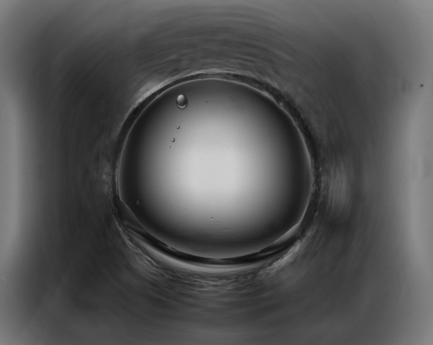 X0000086991505200704161457