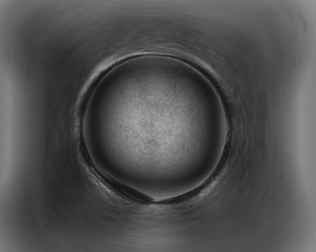 X0000086991506200704161457