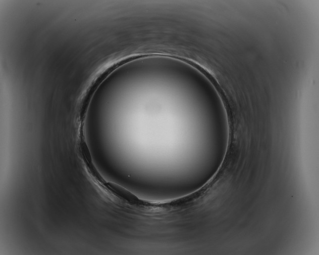 X0000086991507200704161457