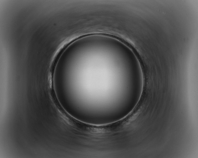 X0000086991509200704161457