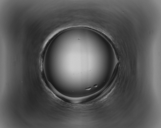 X0000086991510200704161457