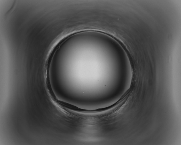 X0000086991511200704161457