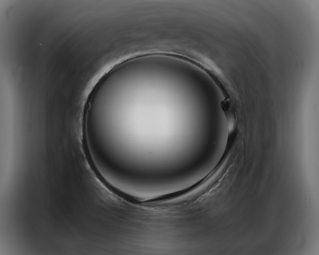 X0000086991512200704161457