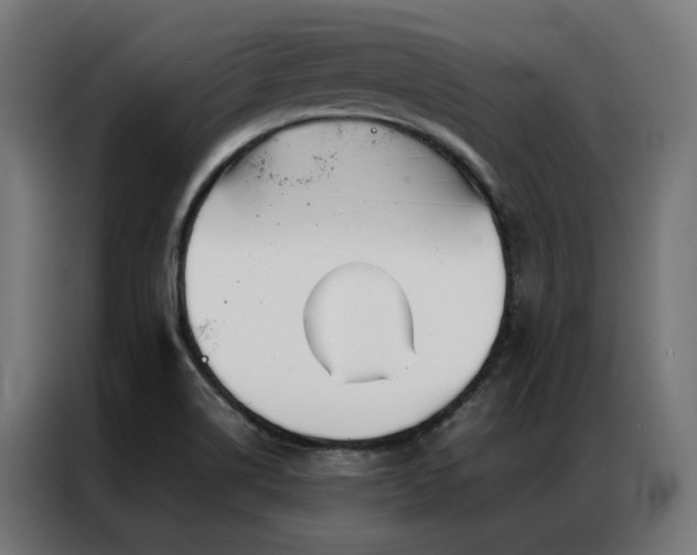 X0000086991514200704161457