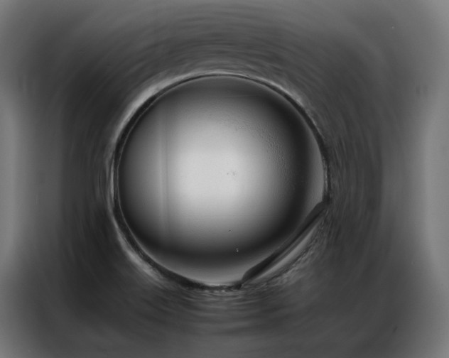 X0000086991515200704161457