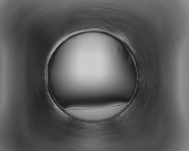 X0000086991516200704161457