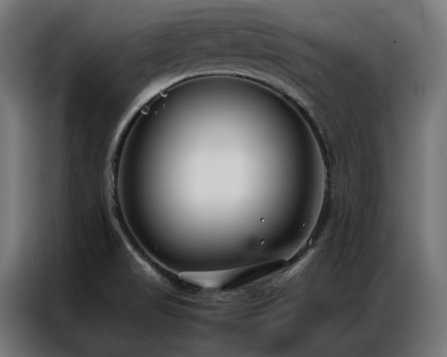X0000086991517200704161457