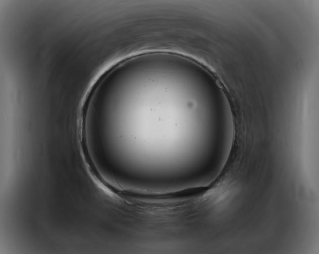 X0000086991519200704161457