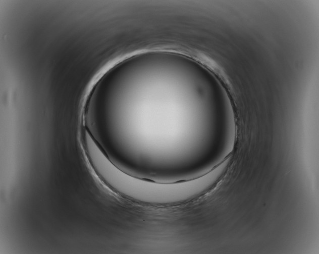 X0000086991520200704161457