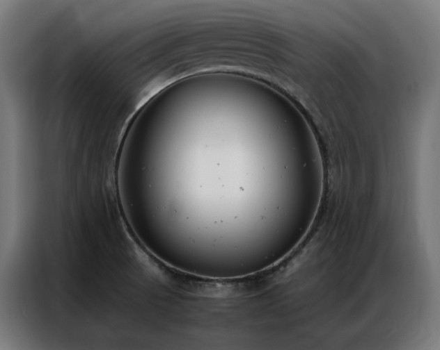 X0000086991521200704161457