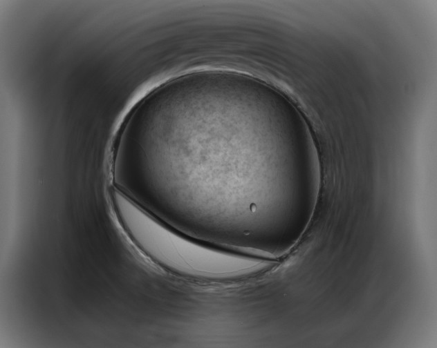 X0000086991522200704161457